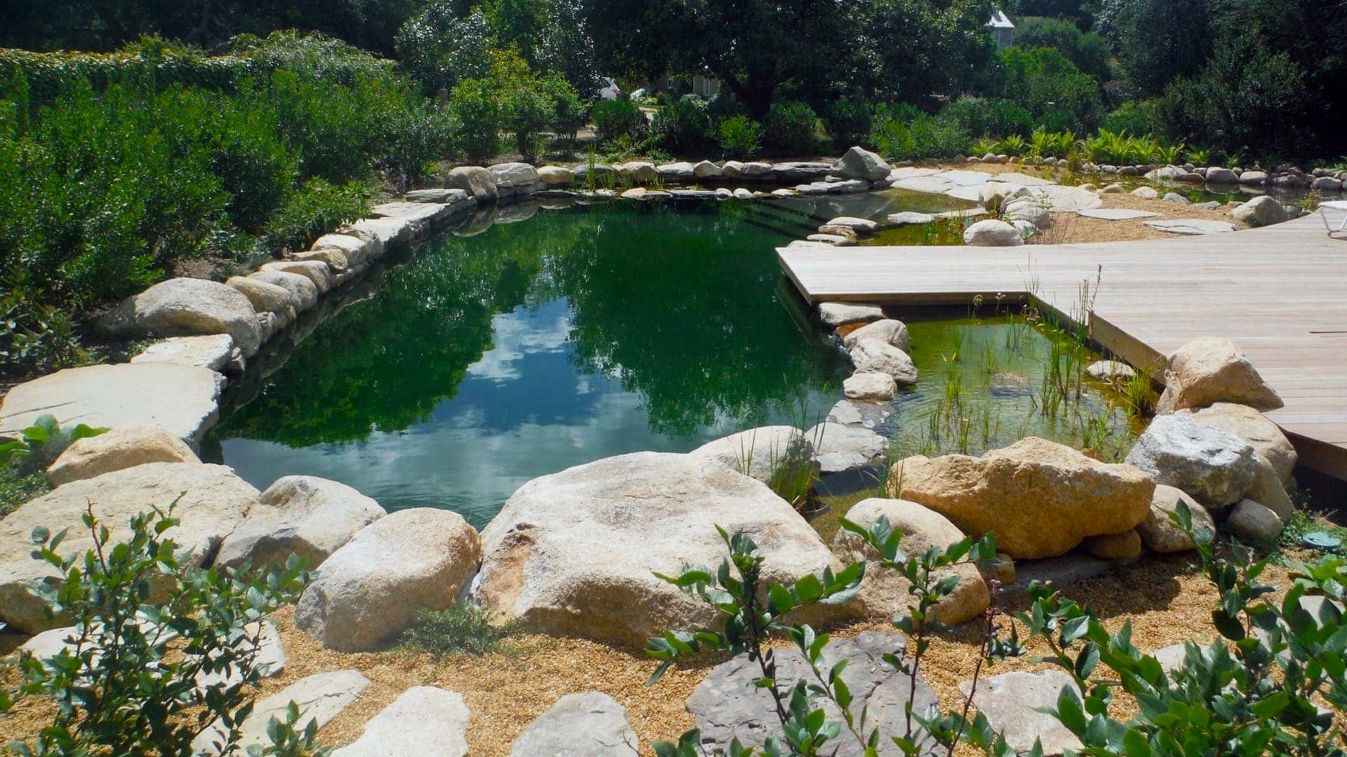natural pool benefits