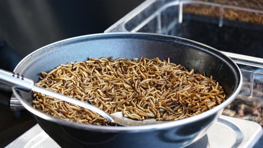 Mealworms By The Mouthful