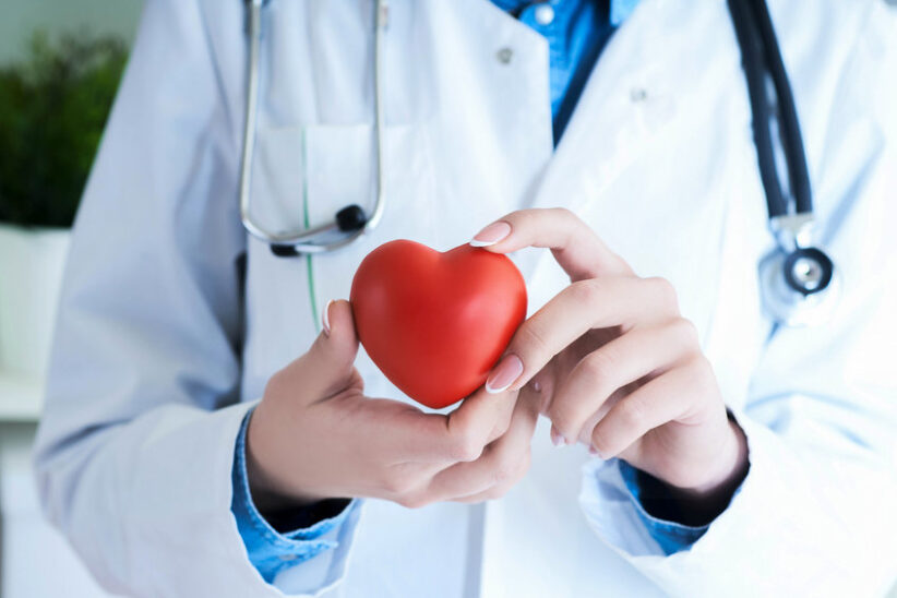 Female medicine doctor hands holding red toy heart close -up. Cardio therapist student education physician make cardiac physical heart rate measure arrhythmia concept