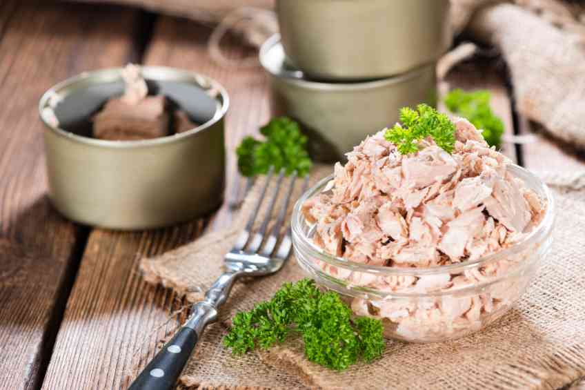 The different types of Tuna Fish