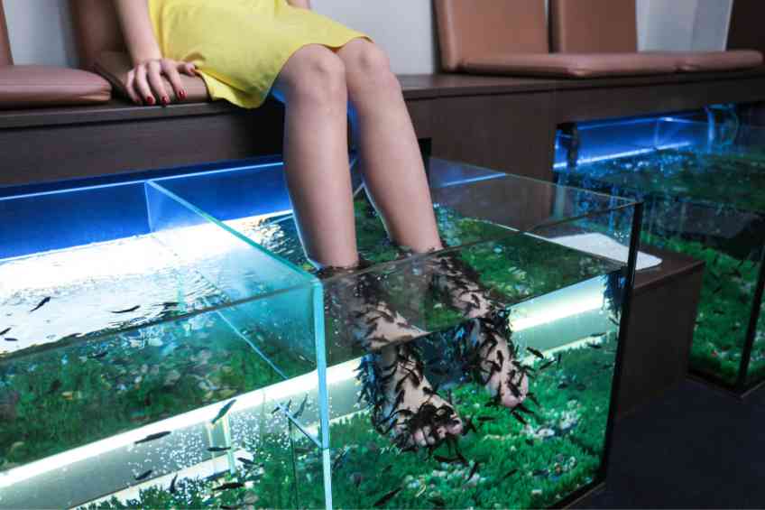 Fish Pedicure Dangers