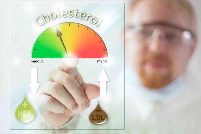 Differences between good and bad cholesterol