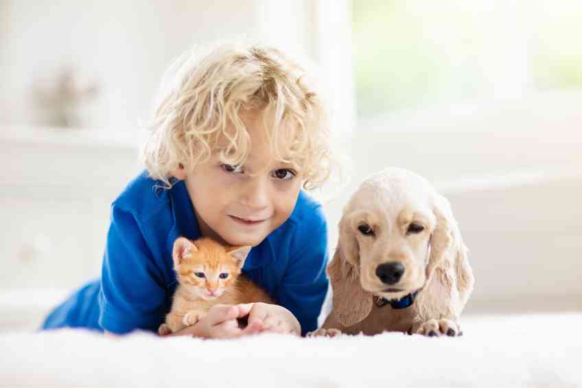 Pets May Reduce Risk of Food Allergies