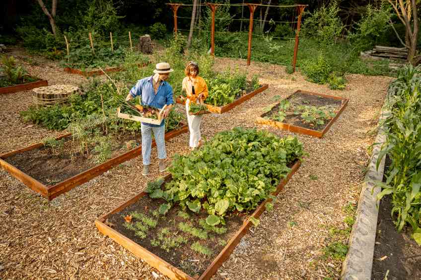 Home-Grown Produce Yields Healthier Diets