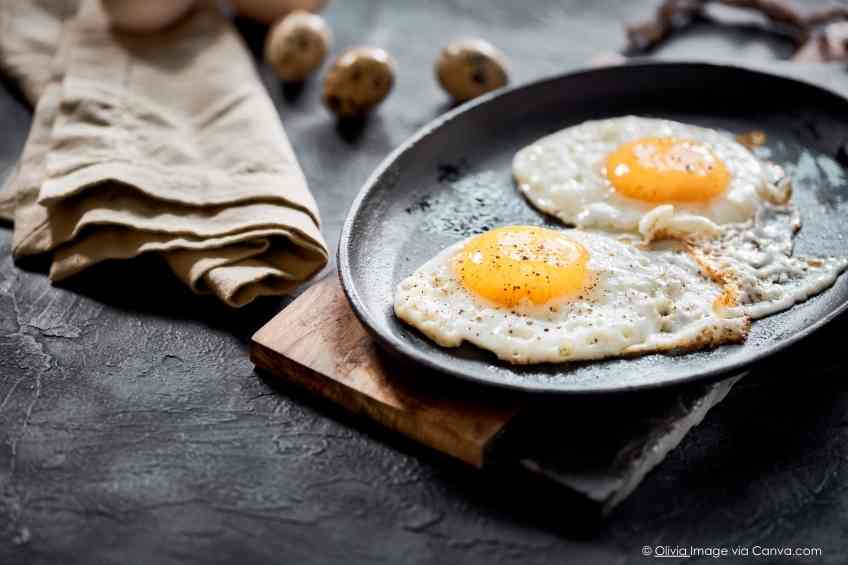 Egg Diet Serves Scrambled Results