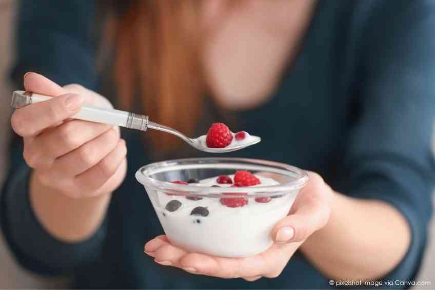 the differences in yogurt varieties