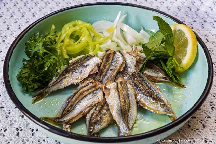 sardines' health benefits