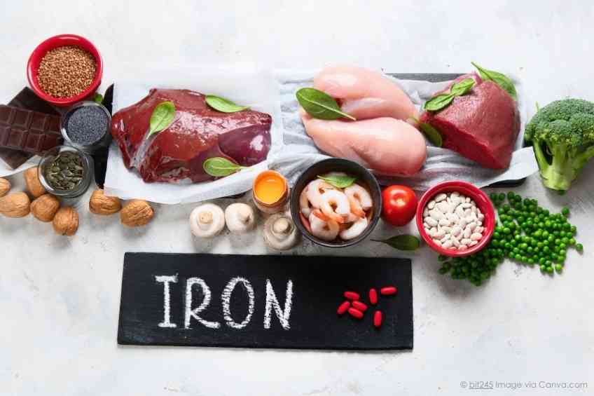 Important Iron-Rich Foods