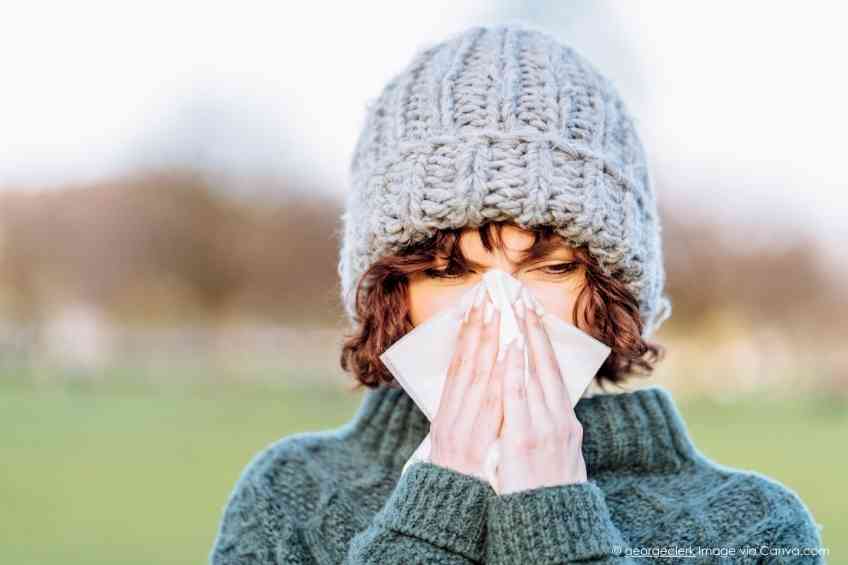 Should Colds & Flus Be Fed or Starved?