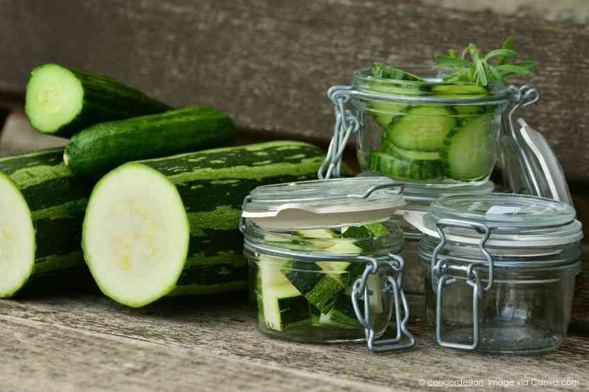 A Rich Harvest of Cucumber Health Benefits